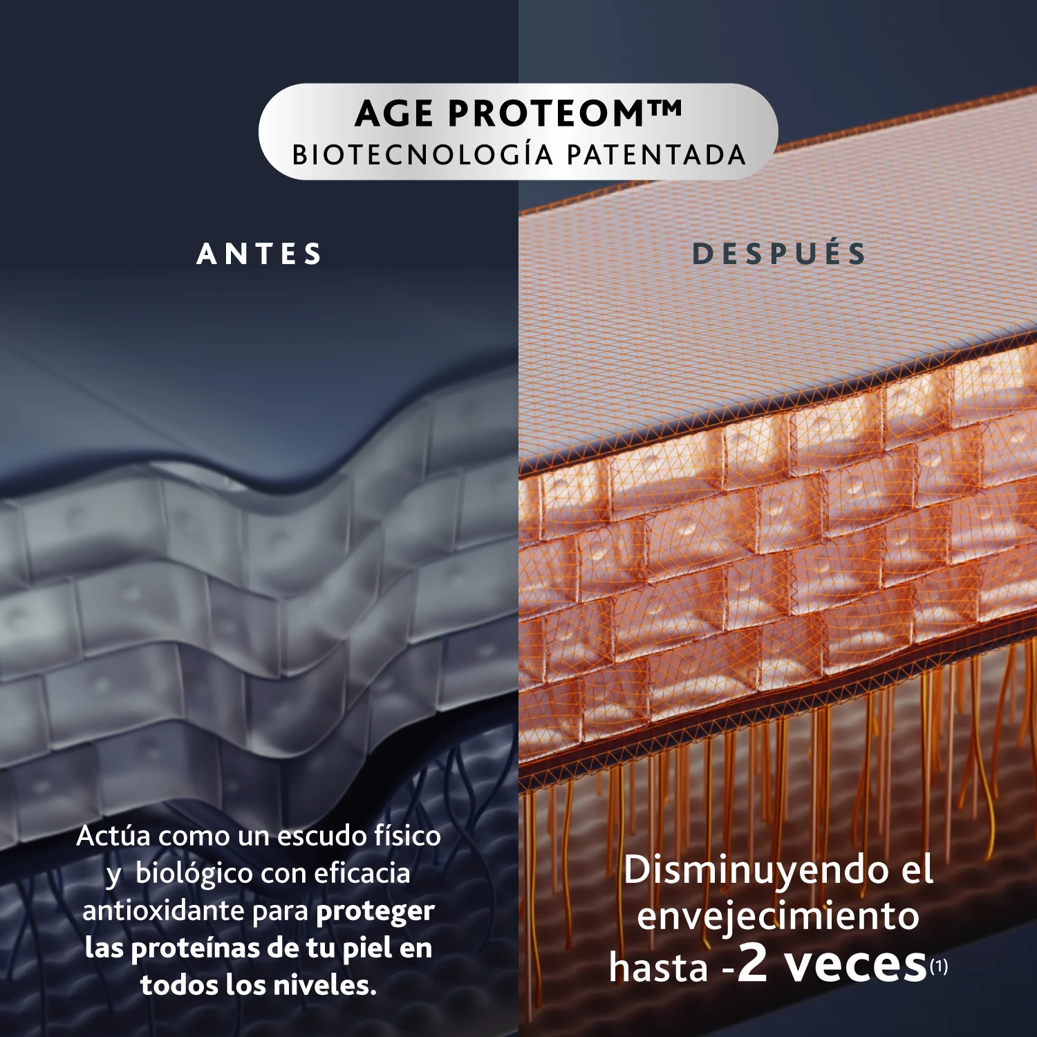 Kit Travel Size: Age Proteom Advanced Serum para Contorno de Ojos - Imagen 6